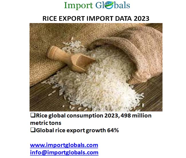 Rice Import and Export Trade Data 2023