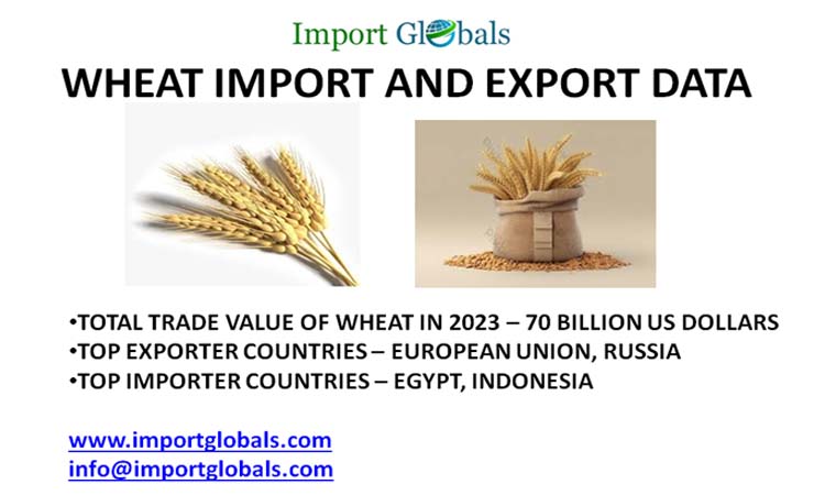 Wheat Import and Export Data