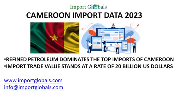 Cameroon Import Data: an Overview of the Top Imported Products