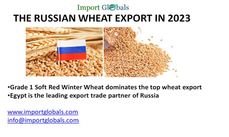 Overview of the Russian Wheat Export in 2023