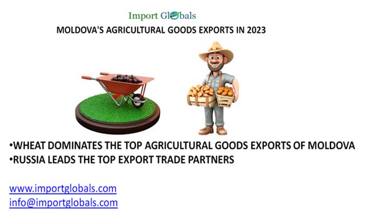 Overview of Moldova's Agricultural Goods Exports in 2023