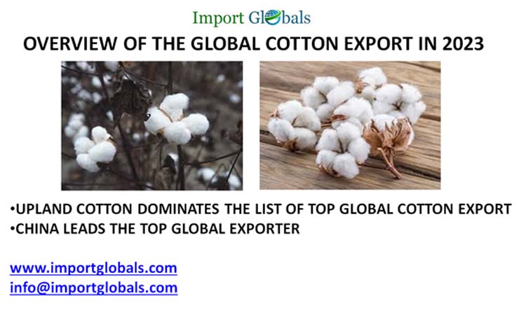 Overview of the Global Cotton Export in 2023