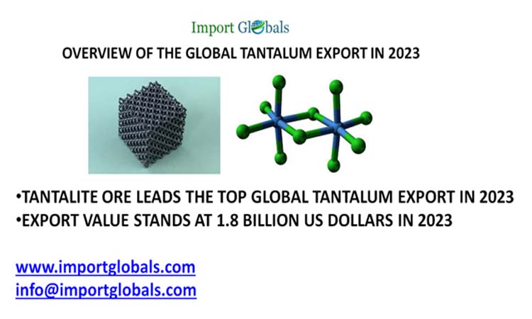 Overview of the Global Tantalum Export in 2023