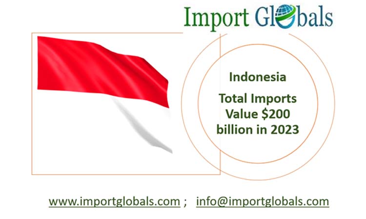 What are the Top Indonesia Import Products 2023