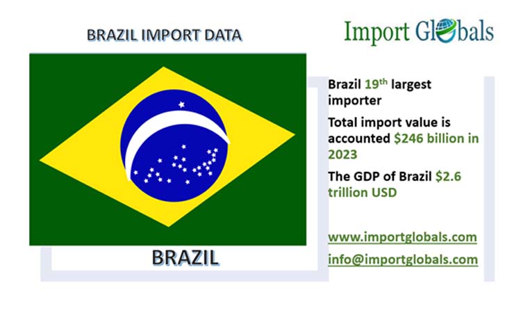 Brazil Import Trade in the Year 2023