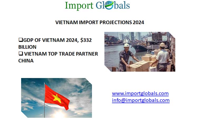 Vietnam Import Projections 2024 Details