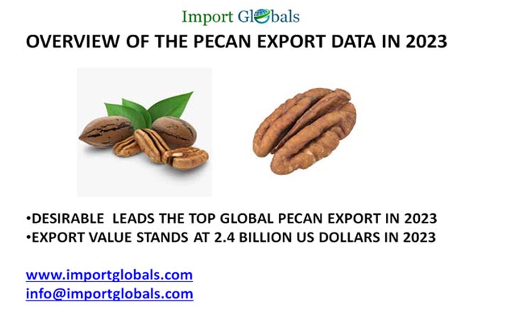 Overview of the Pecan Export Data in 2023