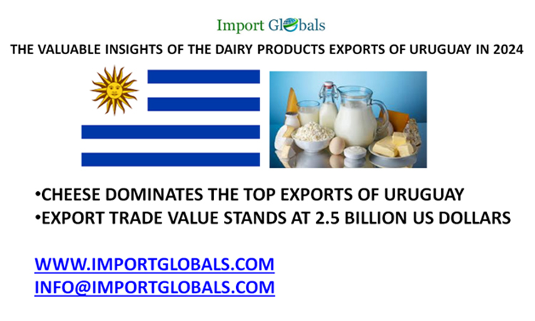 The Valuable Insights of the Dairy Products Exports of Uruguay in 2024