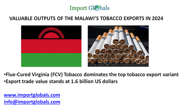 Valuable Outputs of the Malawi’s Tobacco Exports in 2024