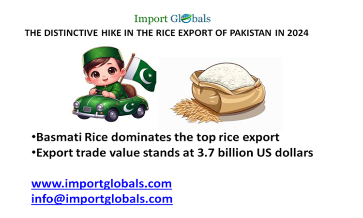 The Distinctive Hike in the Rice Export of Pakistan in 2024