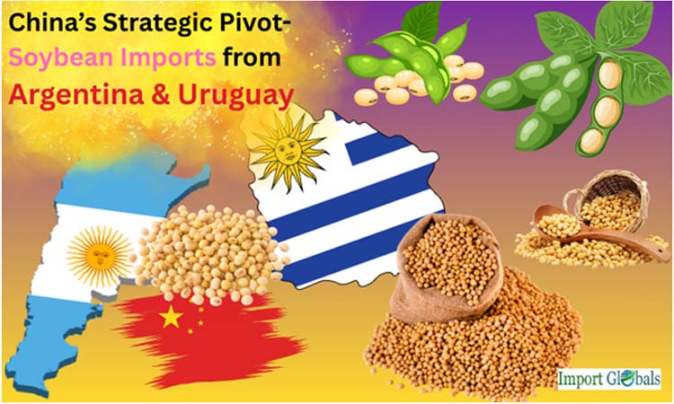 China’s Strategic Pivot: Soybean Imports From Argentina & Uruguay